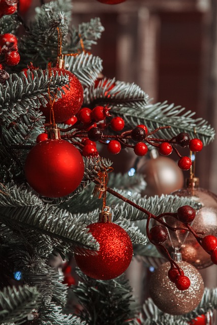 Sapin - 9 decembre 2023